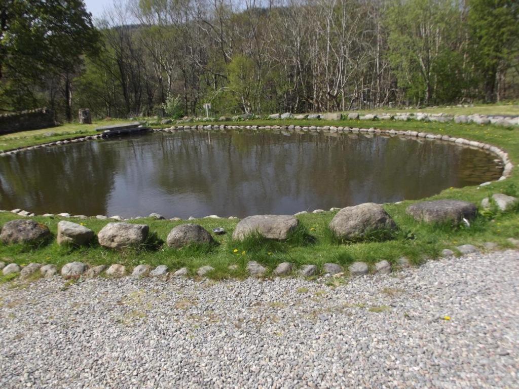 Cosy Ground Floor Disabled Friendly Room In Farm House Llandderfel Eksteriør bilde