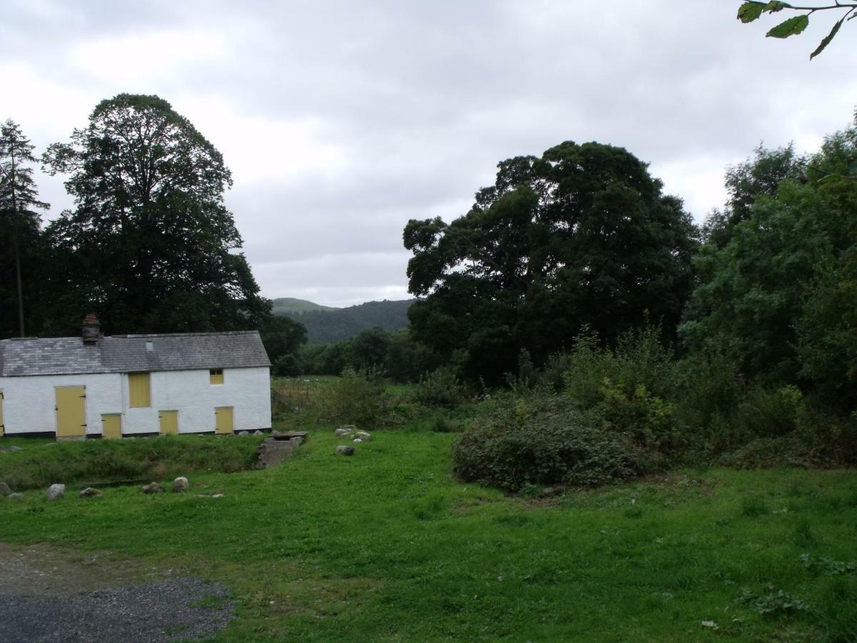 Cosy Ground Floor Disabled Friendly Room In Farm House Llandderfel Eksteriør bilde