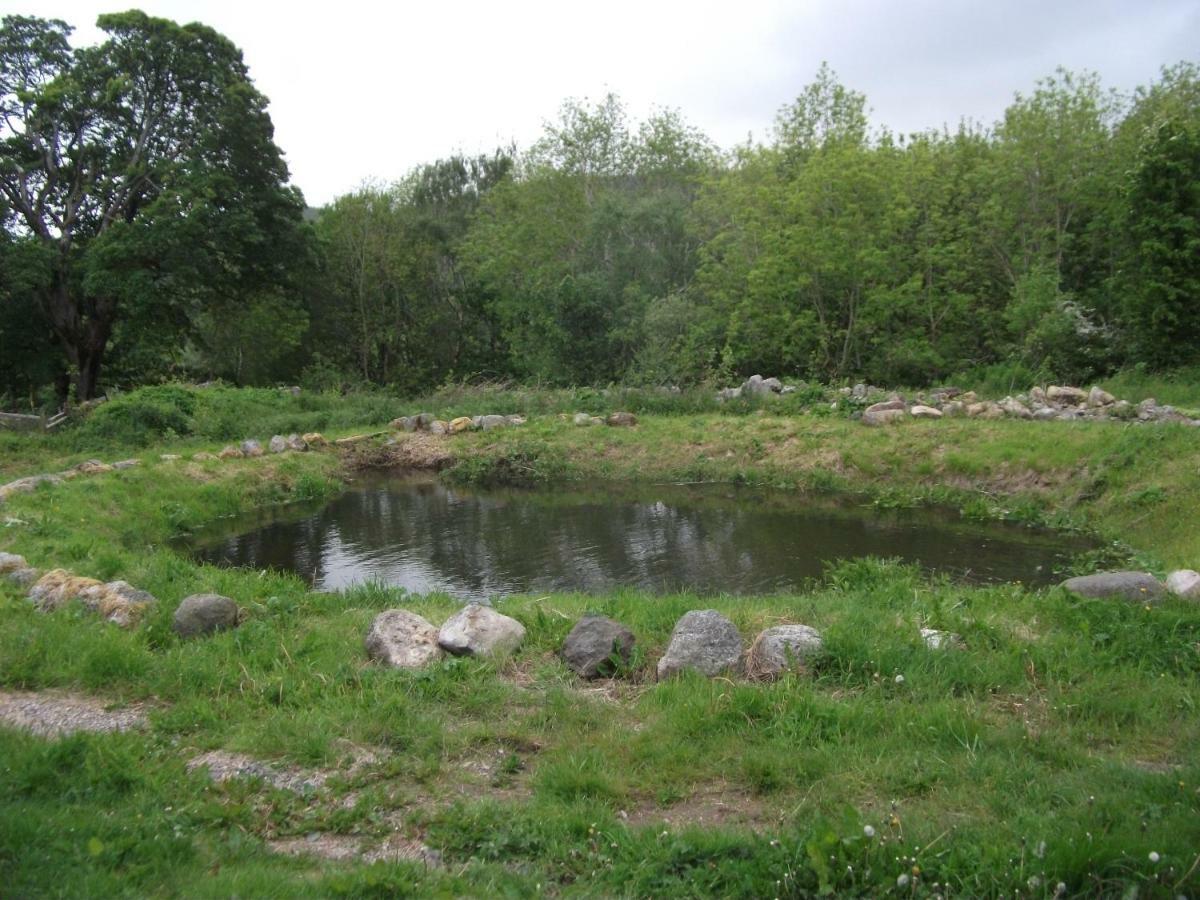 Cosy Ground Floor Disabled Friendly Room In Farm House Llandderfel Eksteriør bilde